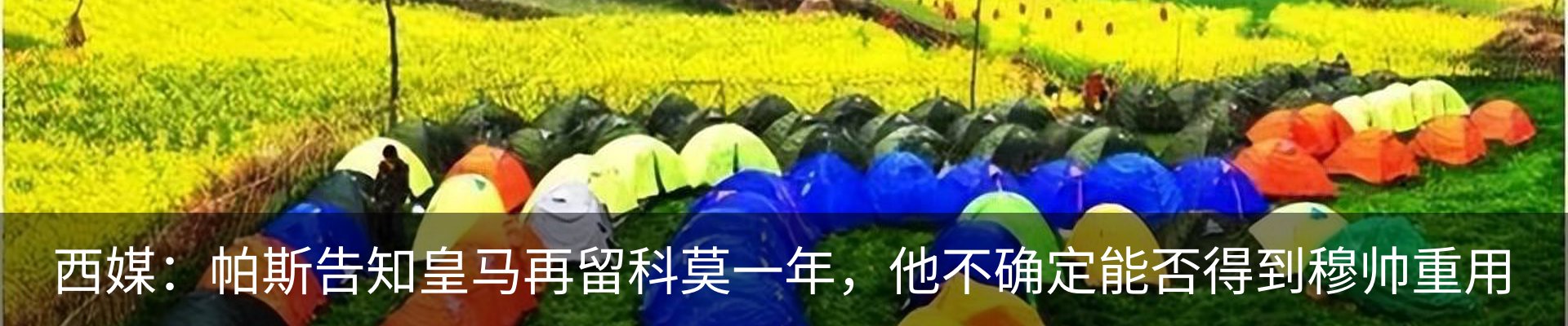 最新动态